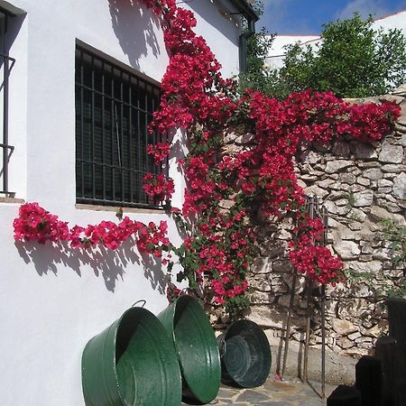 Casa Rural Y Restaurante Casa Adriano Guest House อลานีส ภายนอก รูปภาพ