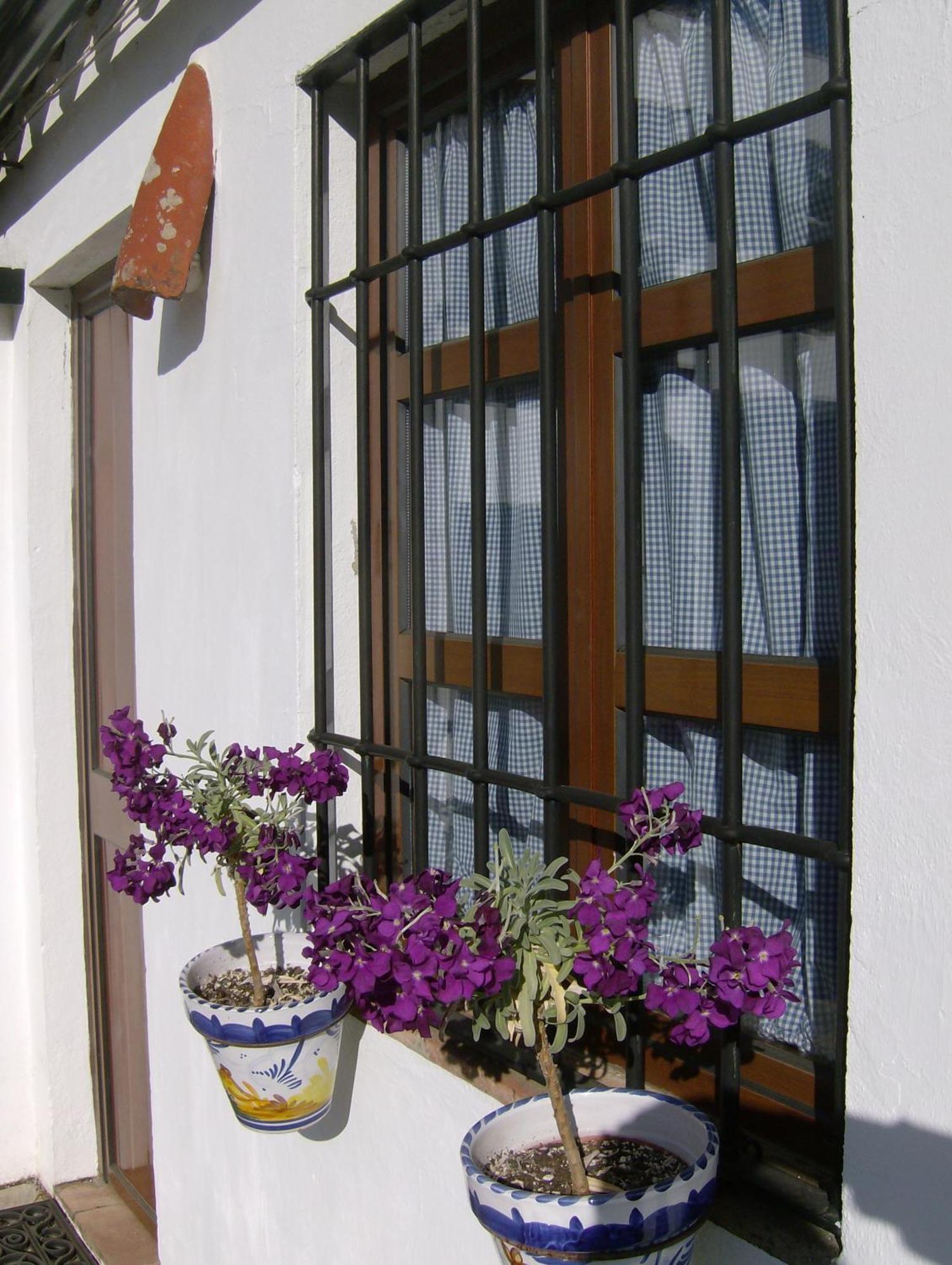 Casa Rural Y Restaurante Casa Adriano Guest House อลานีส ภายนอก รูปภาพ