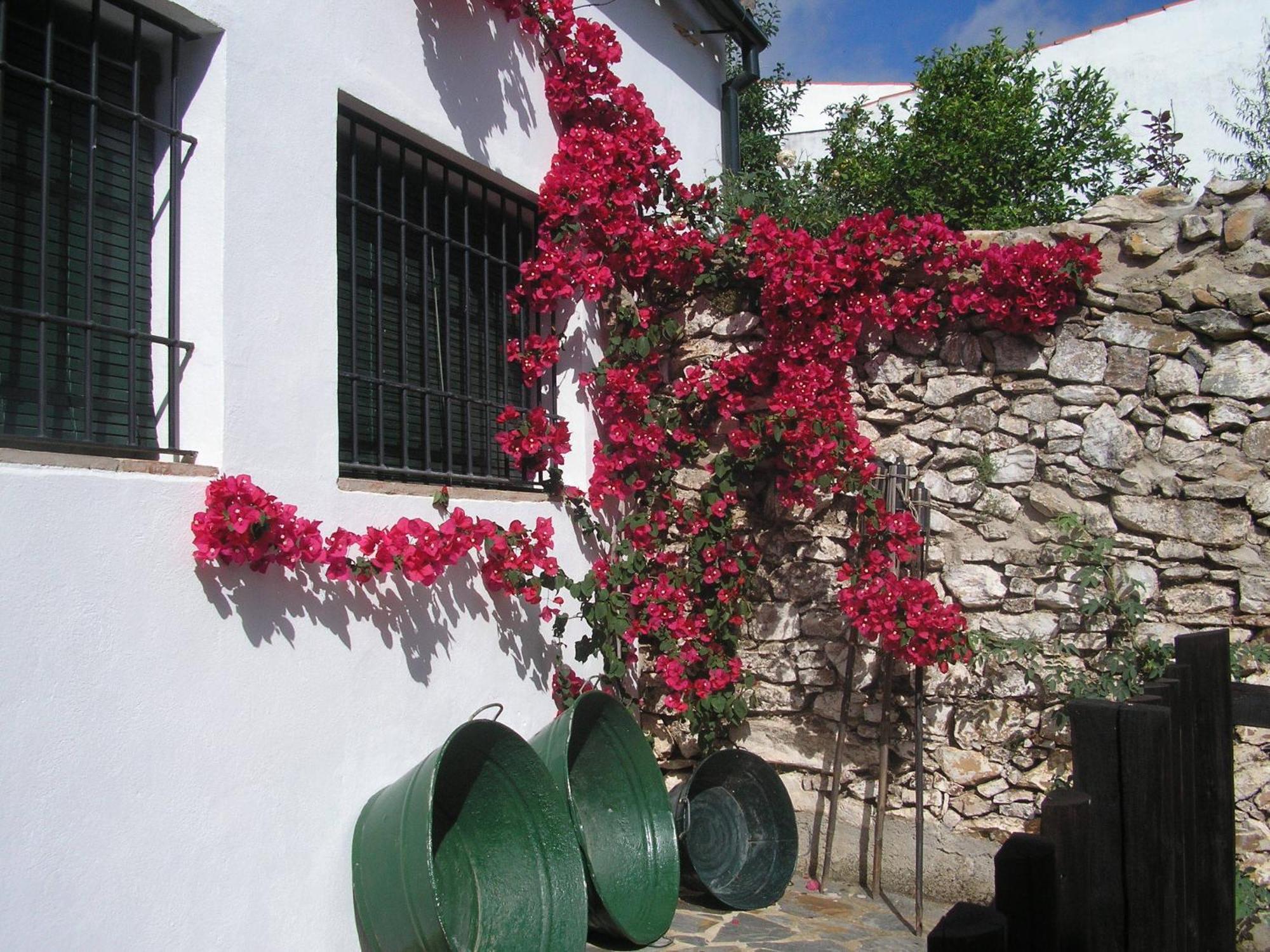 Casa Rural Y Restaurante Casa Adriano Guest House อลานีส ภายนอก รูปภาพ